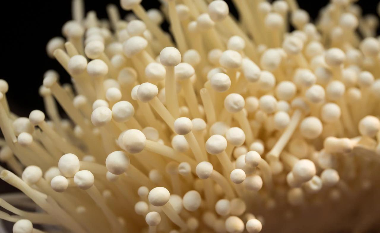 5 loại rau củ mùa đông mẹ đảm tuyệt đối đừng mua kẻo hại cả nhà, nhất là loại thứ 2 ai cũng thích- Ảnh 5.