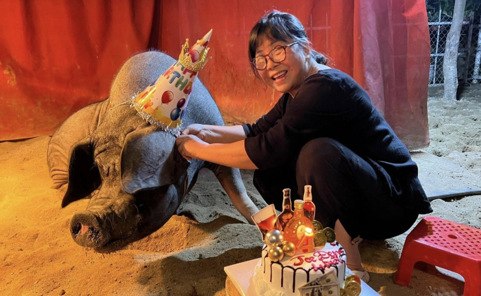 Sao Việt nuôi lợn ở biệt thự 1400 m² giữa phố cổ, nói 1 câu về chuyện để lại tài sản cho con quá bất ngờ- Ảnh 1. Sao Việt nuôi lợn ở biệt thự 1400 m² giữa phố cổ, nói 1 câu về chuyện để lại tài sản cho con quá bất ngờ- Ảnh 1.