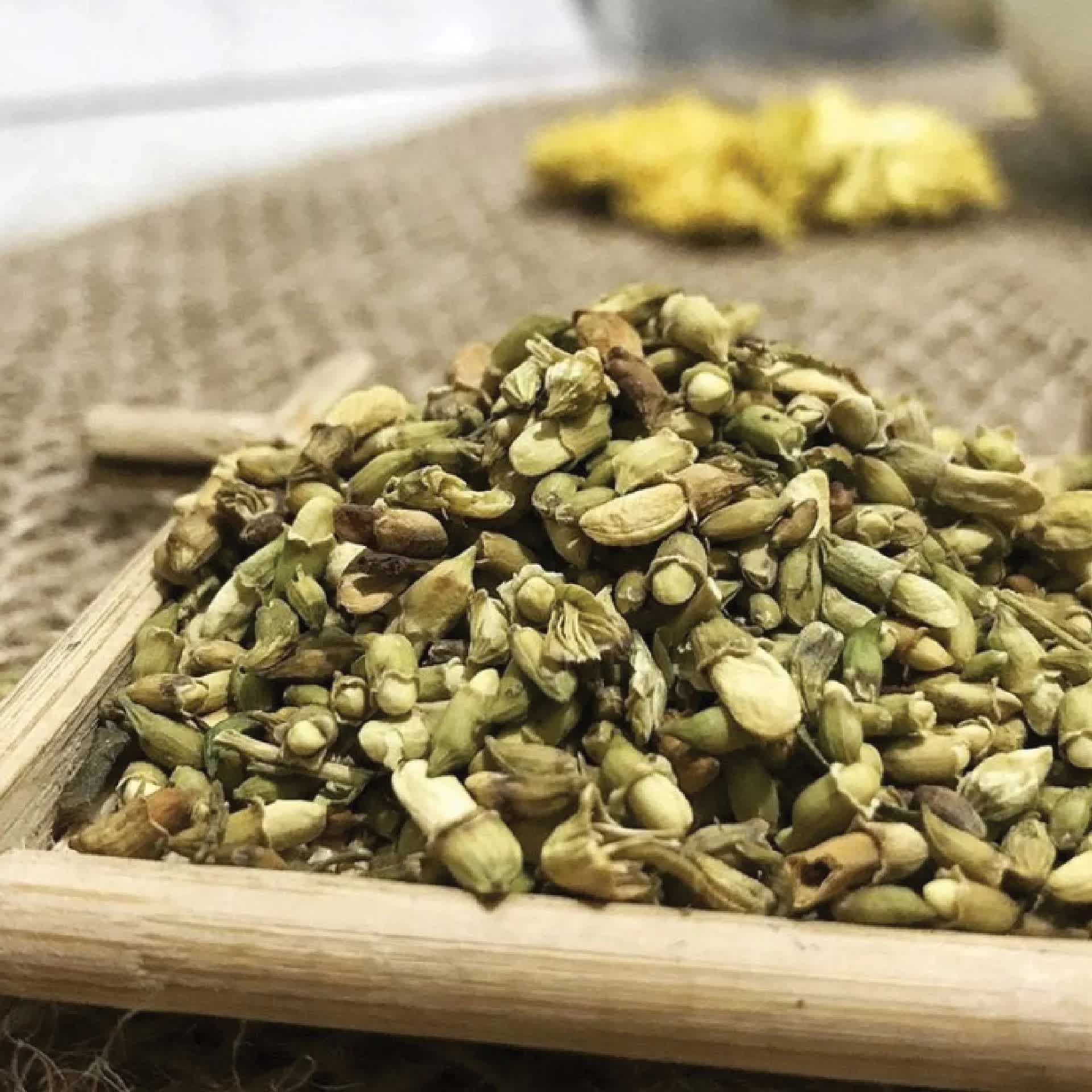 Loại c&acirc;y tượng trưng cho may mắn v&agrave; t&agrave;i lộc, trồng trong nh&agrave; c&ograve;n c&oacute; được vị thuốc trị "b&aacute;ch bệnh"- Ảnh 2.