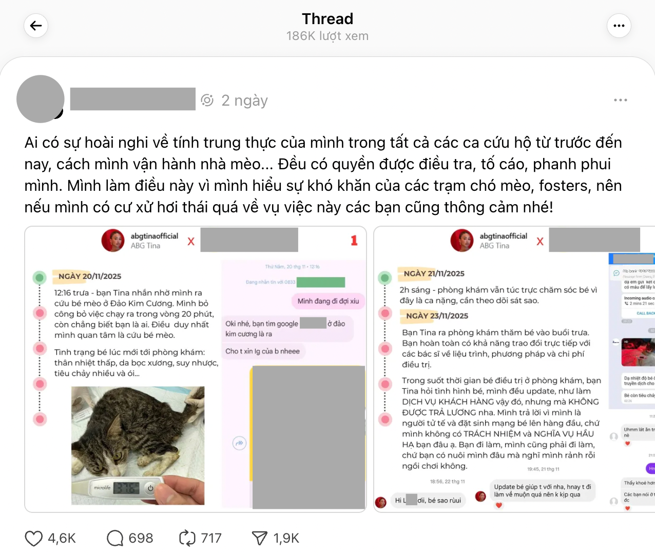 TikToker ABG Tina vướng tranh cãi vụ không trả hóa đơn 5,3 triệu khi cứu mèo hoang- Ảnh 3. TikToker ABG Tina vướng tranh cãi vụ không trả hóa đơn 5,3 triệu khi cứu mèo hoang- Ảnh 3.