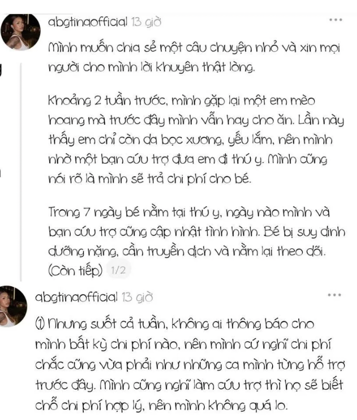 TikToker ABG Tina vướng tranh cãi vụ không trả hóa đơn 5,3 triệu khi cứu mèo hoang- Ảnh 2. TikToker ABG Tina vướng tranh cãi vụ không trả hóa đơn 5,3 triệu khi cứu mèo hoang- Ảnh 2.
