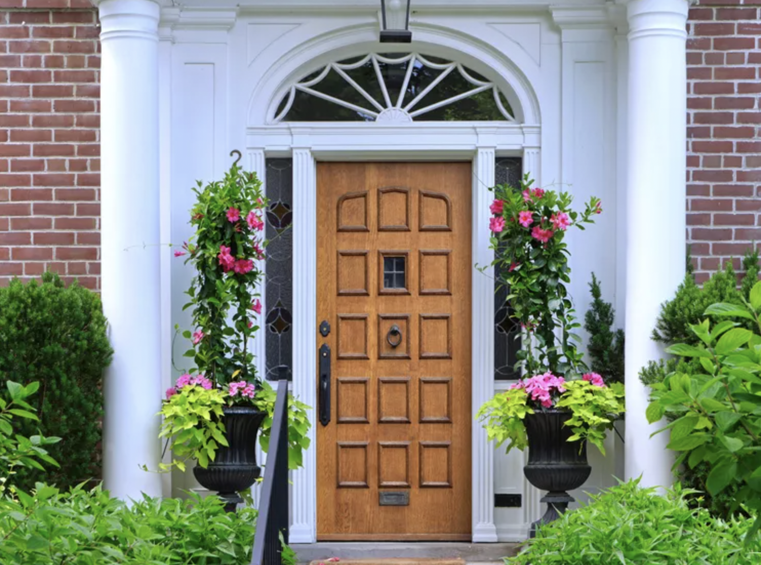 9 loại cây trồng trước nhà rất hợp: Số 5 người Việt biết tận dụng từ lâu- Ảnh 3. 9 loại cây trồng trước nhà rất hợp: Số 5 người Việt biết tận dụng từ lâu- Ảnh 3.