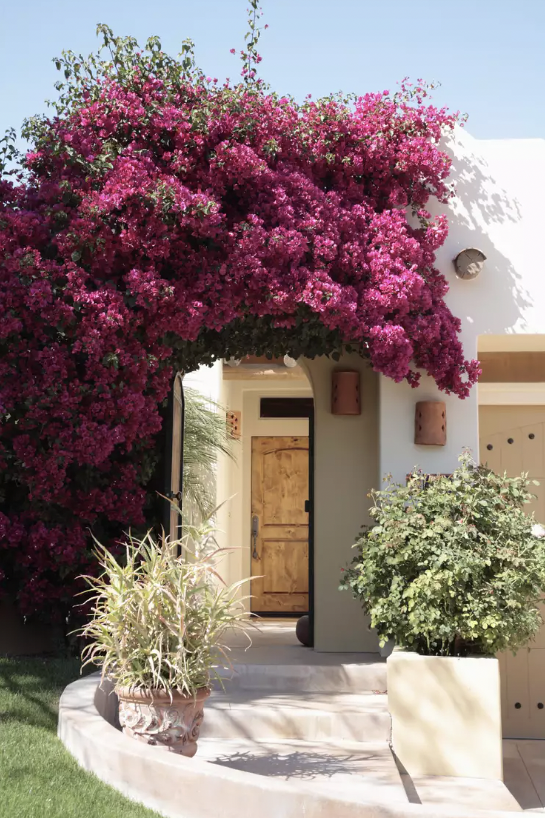 9 loại cây trồng trước nhà rất hợp: Số 5 người Việt biết tận dụng từ lâu- Ảnh 5. 9 loại cây trồng trước nhà rất hợp: Số 5 người Việt biết tận dụng từ lâu- Ảnh 5.