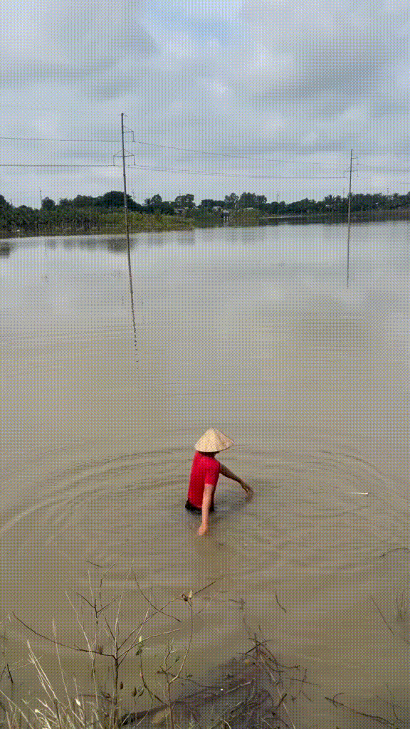 Mẹ trẻ miền Tây thắc mắc: Đám trẻ con nhà mình đang phát cuồng vì một 1 đồ chơi kỳ lạ "trông như cái bàn ủi giấy"- Ảnh 1.