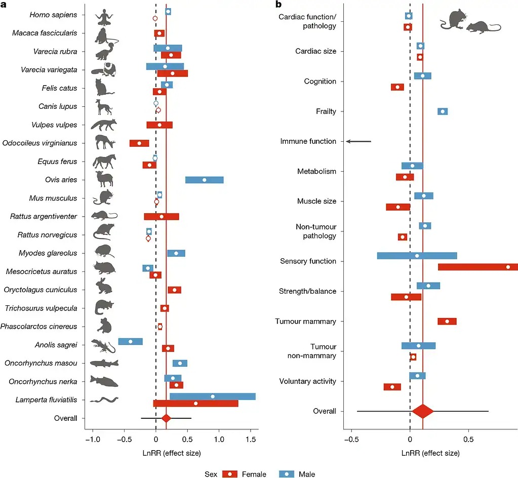 Các nhà khoa học phát hiện ra rằng động vật bị thiến có thể sống lâu hơn tới 20% và điều tương tự cũng có thể đúng với con người- Ảnh 2. Các nhà khoa học phát hiện ra rằng động vật bị thiến có thể sống lâu hơn tới 20% và điều tương tự cũng có thể đúng với con người- Ảnh 2.