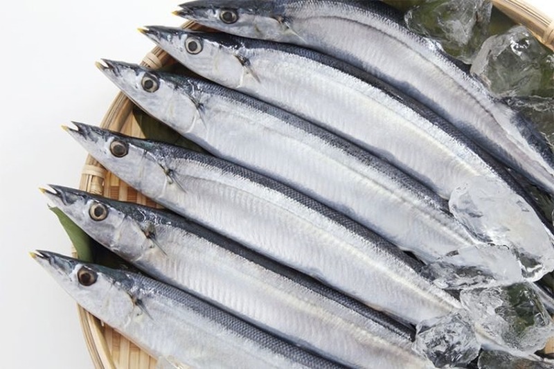 Loại c&aacute; gi&aacute; rẻ, gi&agrave;u omega-3 hơn c&aacute; hồi, &iacute;t kim loại nặng, tốt cho phụ nữ, trẻ em, người gi&agrave;- Ảnh 3.