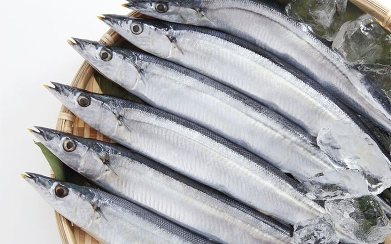 Loại c&aacute; gi&aacute; rẻ, gi&agrave;u omega-3 hơn c&aacute; hồi, &iacute;t kim loại nặng, tốt cho phụ nữ, trẻ em, người gi&agrave;- Ảnh 1.