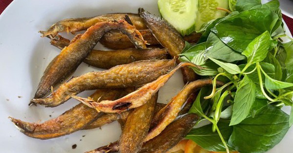 Loại cá được ví như 