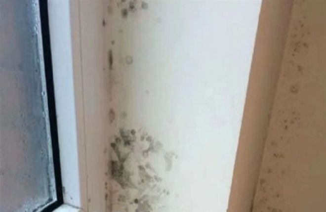 Ba năm sống trong căn góc và cú vỡ mộng lớn: Tôi đã đánh đổi quá nhiều chỉ vì một quyết định khi mua nhà- Ảnh 3. Ba năm sống trong căn góc và cú vỡ mộng lớn: Tôi đã đánh đổi quá nhiều chỉ vì một quyết định khi mua nhà- Ảnh 3.