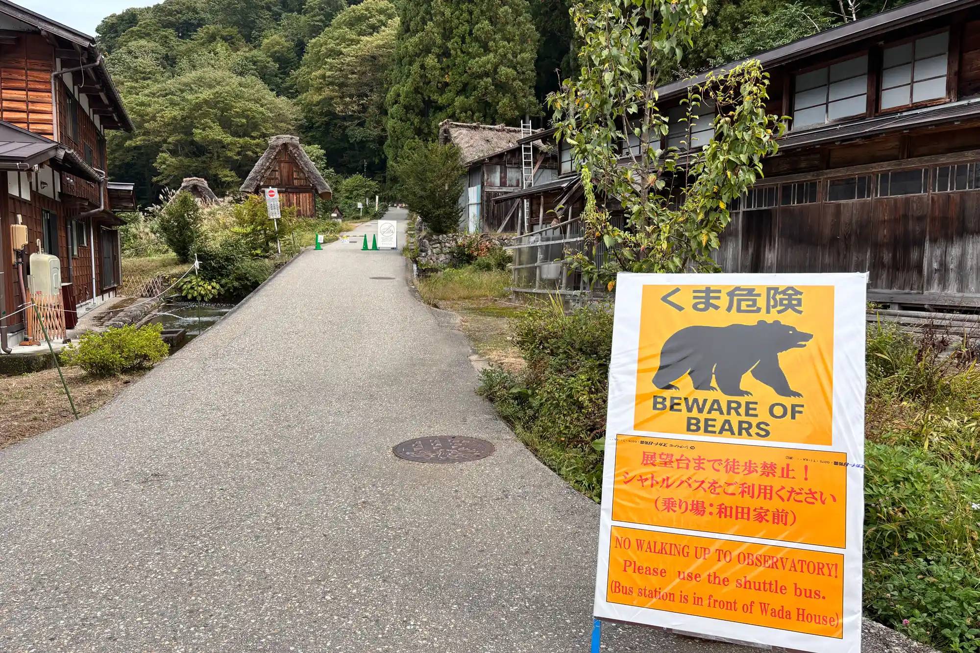 Du khách bị gấu kéo vào rừng, tấn công đến tử vong: Đồng hồ thông minh hé lộ những giây phút cuối đời đầy ám ảnh- Ảnh 1. Du khách bị gấu kéo vào rừng, tấn công đến tử vong: Đồng hồ thông minh hé lộ những giây phút cuối đời đầy ám ảnh- Ảnh 1.