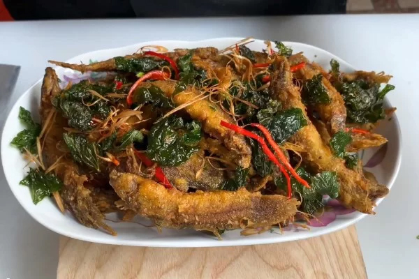 Loại c&aacute; được v&iacute; như "nh&acirc;n s&acirc;m dưới nước", xuất hiện trong nhiều b&agrave;i thuốc Đ&ocirc;ng y- Ảnh 2.