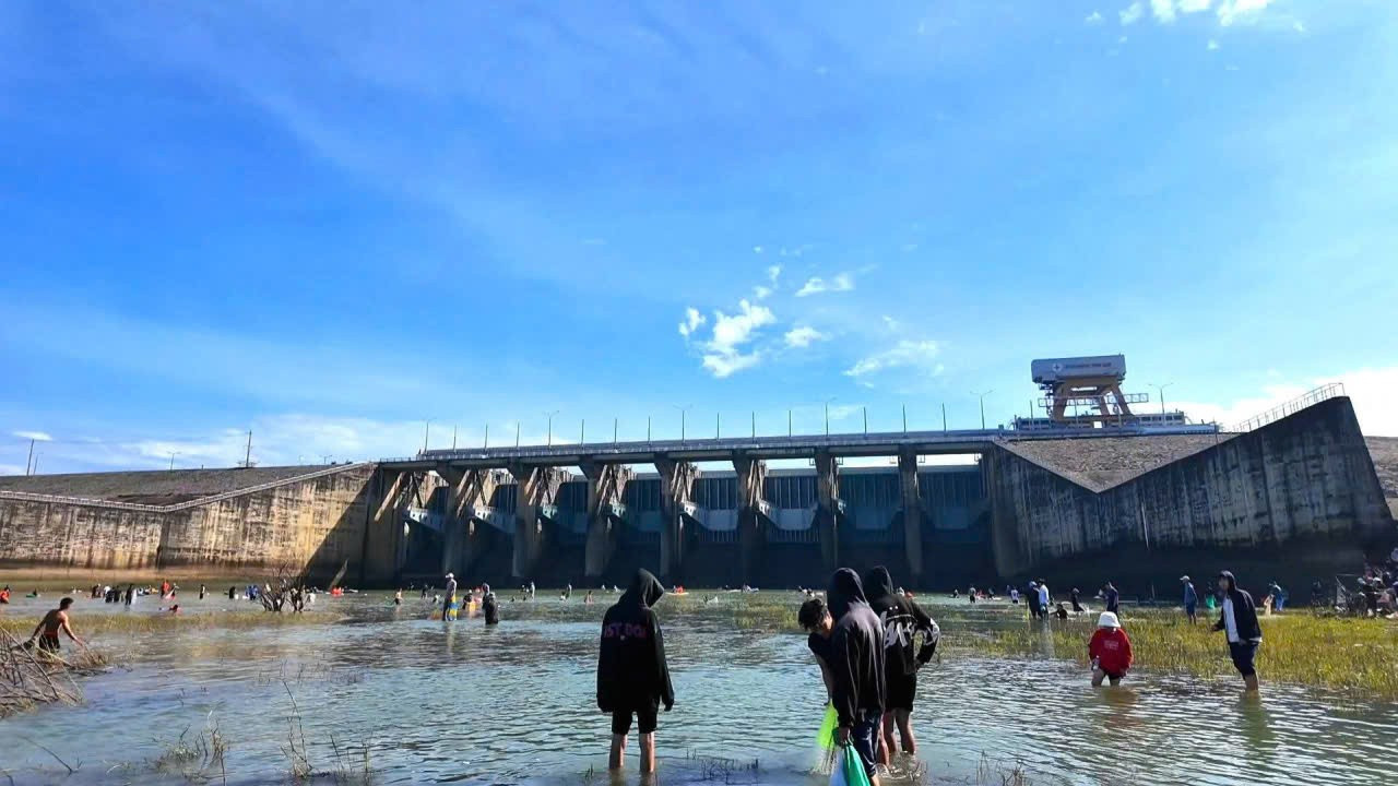 Người d&acirc;n đổ x&ocirc; v&agrave;o Thuỷ điện Trị An bắt c&aacute; khủng- Ảnh 1.