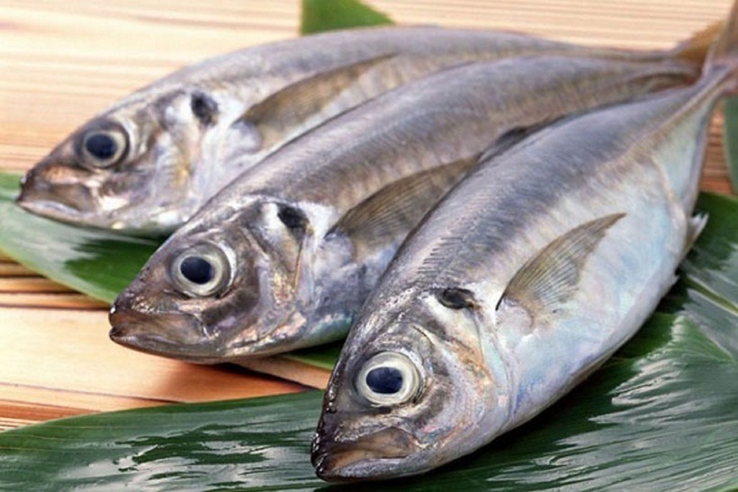 Loại cá nhìn xấu mã nhưng tốt ngang nhân sâm, cao thủ ẩm thực gặp là mua liền- Ảnh 1. Loại cá nhìn xấu mã nhưng tốt ngang nhân sâm, cao thủ ẩm thực gặp là mua liền- Ảnh 1.