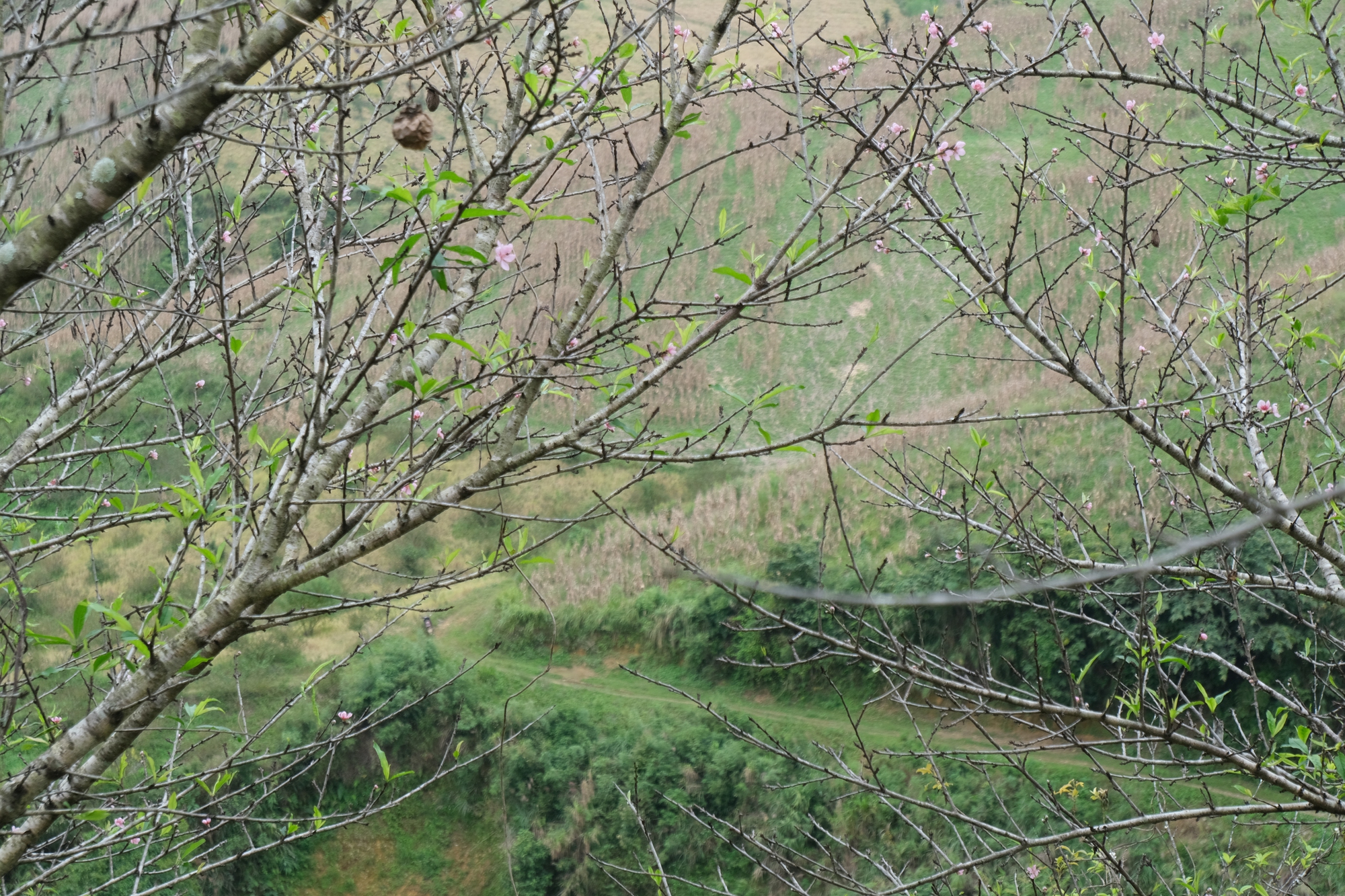 Xu hướng dịch chuyển trên thị trường du lịch cuối năm- Ảnh 2. Xu hướng dịch chuyển trên thị trường du lịch cuối năm- Ảnh 2.