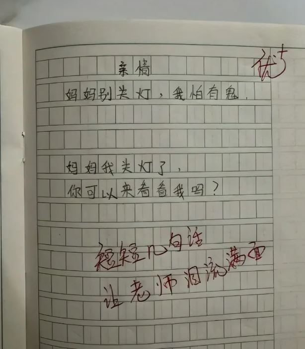 Bài văn vỏn vẻn 26 chữ của 1 học sinh tiểu học khiến cô giáo vừa chấm vừa khóc nức nở: Cô đau đến nghẹn lòng!- Ảnh 1.