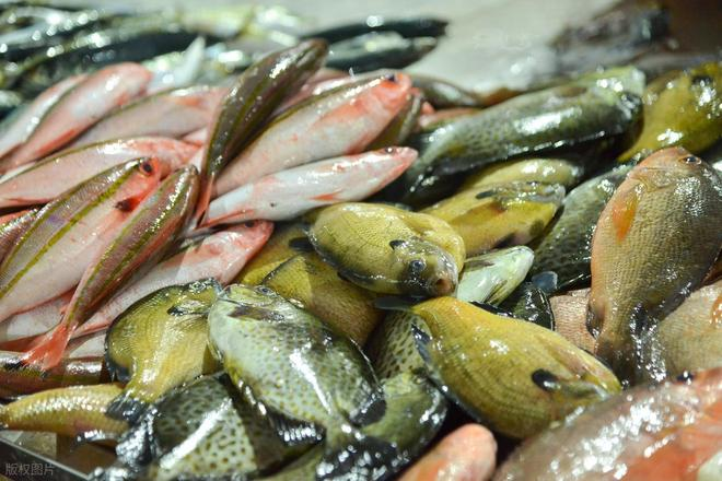 4 loại cá dễ là "ổ kim loại nặng", ngay cả người bán cũng ít dám ăn- Ảnh 4.