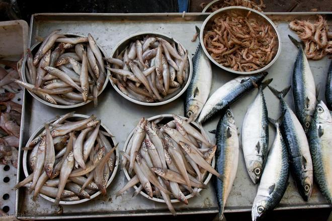 4 loại cá dễ là "ổ kim loại nặng", ngay cả người bán cũng ít dám ăn- Ảnh 5.
