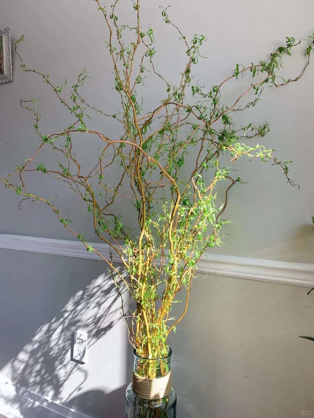 Th&uacute; chơi Liễu Rồng: Khi những "c&agrave;nh củi kh&ocirc;" uốn lượn mang cả m&ugrave;a xu&acirc;n v&agrave; t&agrave;i lộc v&agrave;o nh&agrave;- Ảnh 21.