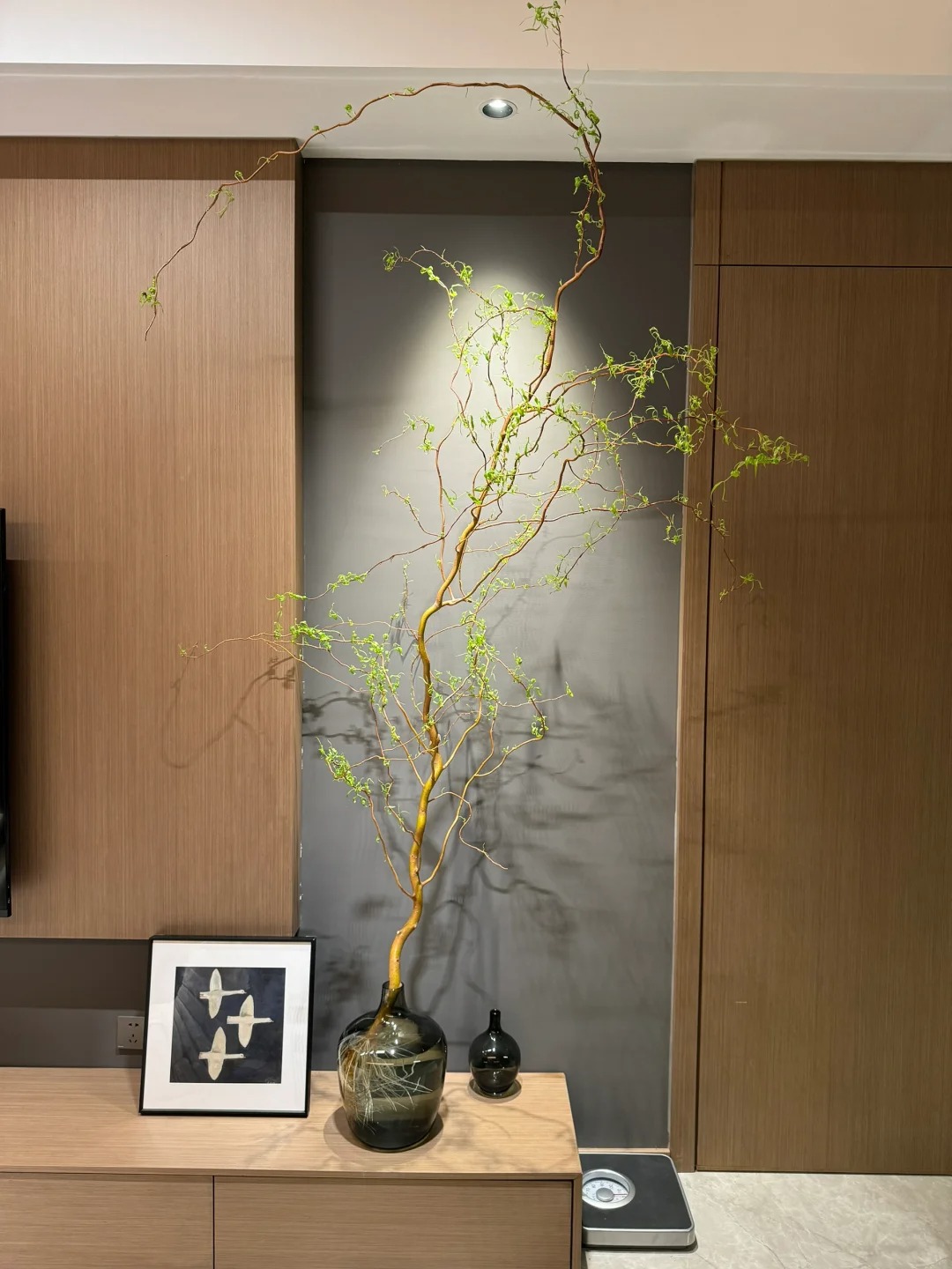 Th&uacute; chơi Liễu Rồng: Khi những "c&agrave;nh củi kh&ocirc;" uốn lượn mang cả m&ugrave;a xu&acirc;n v&agrave; t&agrave;i lộc v&agrave;o nh&agrave;- Ảnh 20.