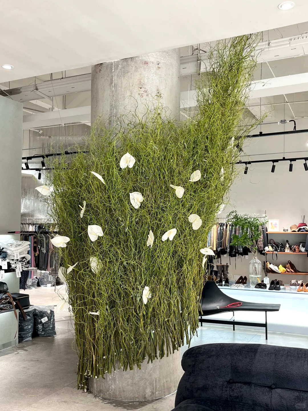 Th&uacute; chơi Liễu Rồng: Khi những "c&agrave;nh củi kh&ocirc;" uốn lượn mang cả m&ugrave;a xu&acirc;n v&agrave; t&agrave;i lộc v&agrave;o nh&agrave;- Ảnh 31.