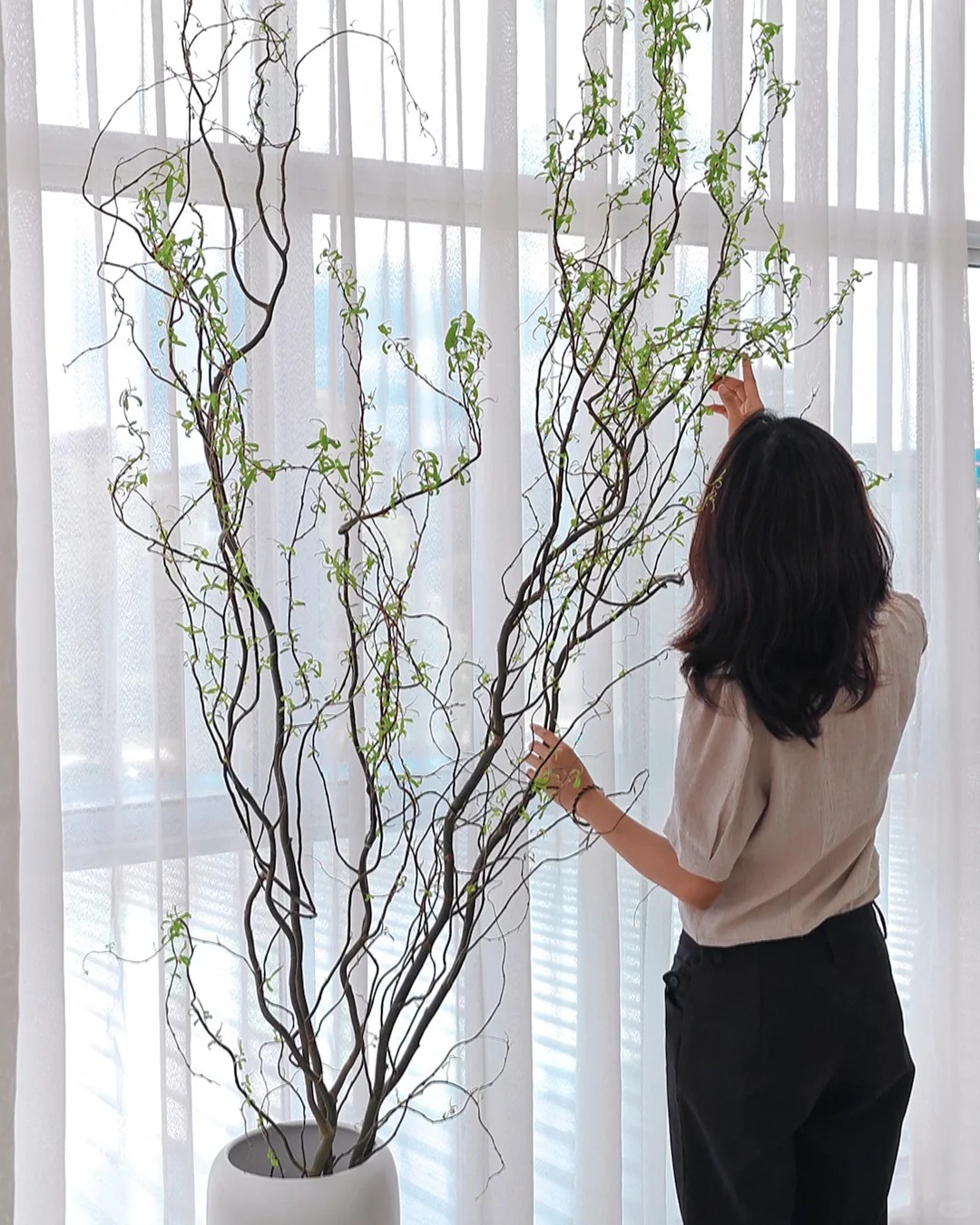 Th&uacute; chơi Liễu Rồng: Khi những "c&agrave;nh củi kh&ocirc;" uốn lượn mang cả m&ugrave;a xu&acirc;n v&agrave; t&agrave;i lộc v&agrave;o nh&agrave;- Ảnh 29.