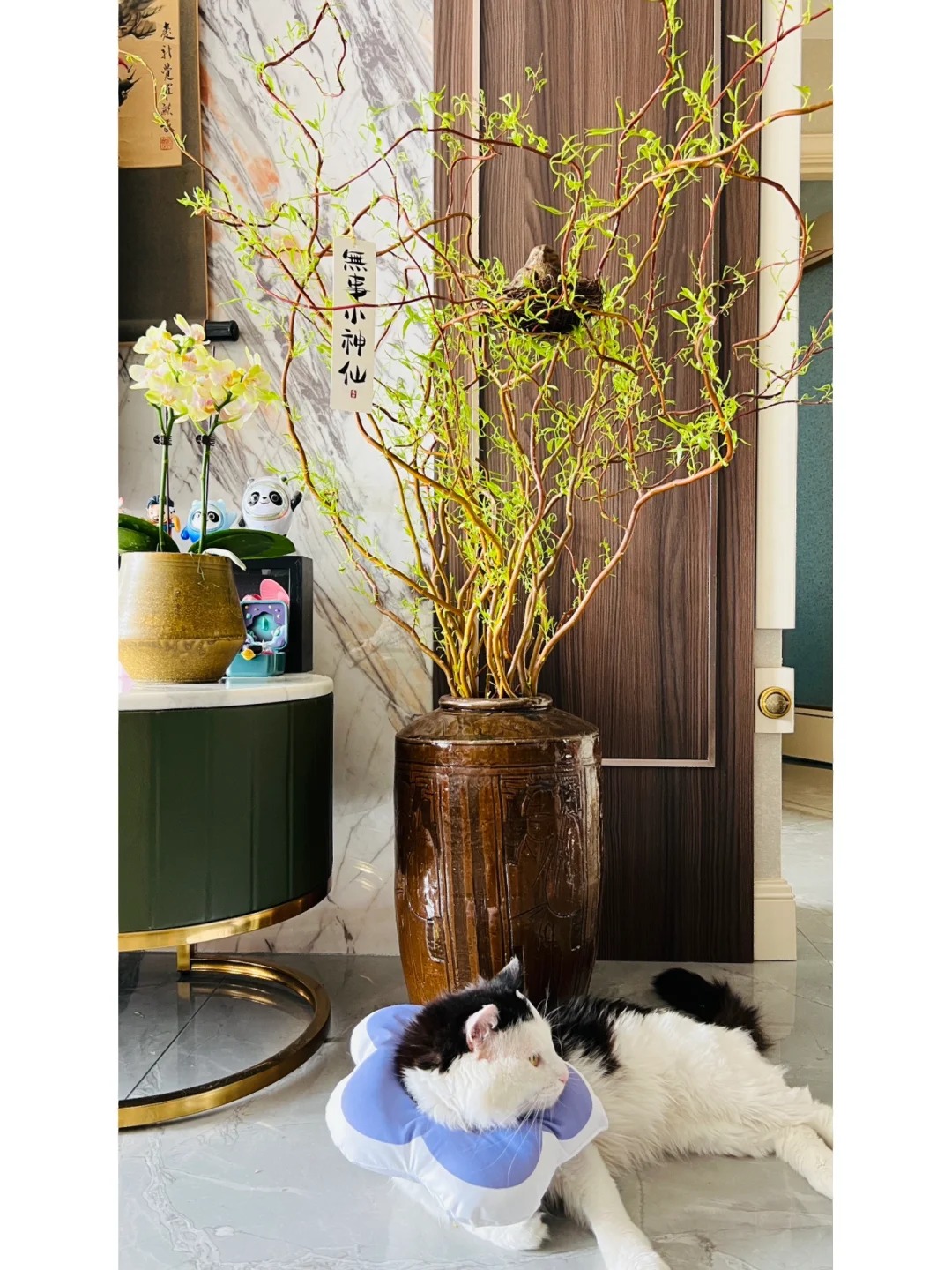 Th&uacute; chơi Liễu Rồng: Khi những "c&agrave;nh củi kh&ocirc;" uốn lượn mang cả m&ugrave;a xu&acirc;n v&agrave; t&agrave;i lộc v&agrave;o nh&agrave;- Ảnh 22.