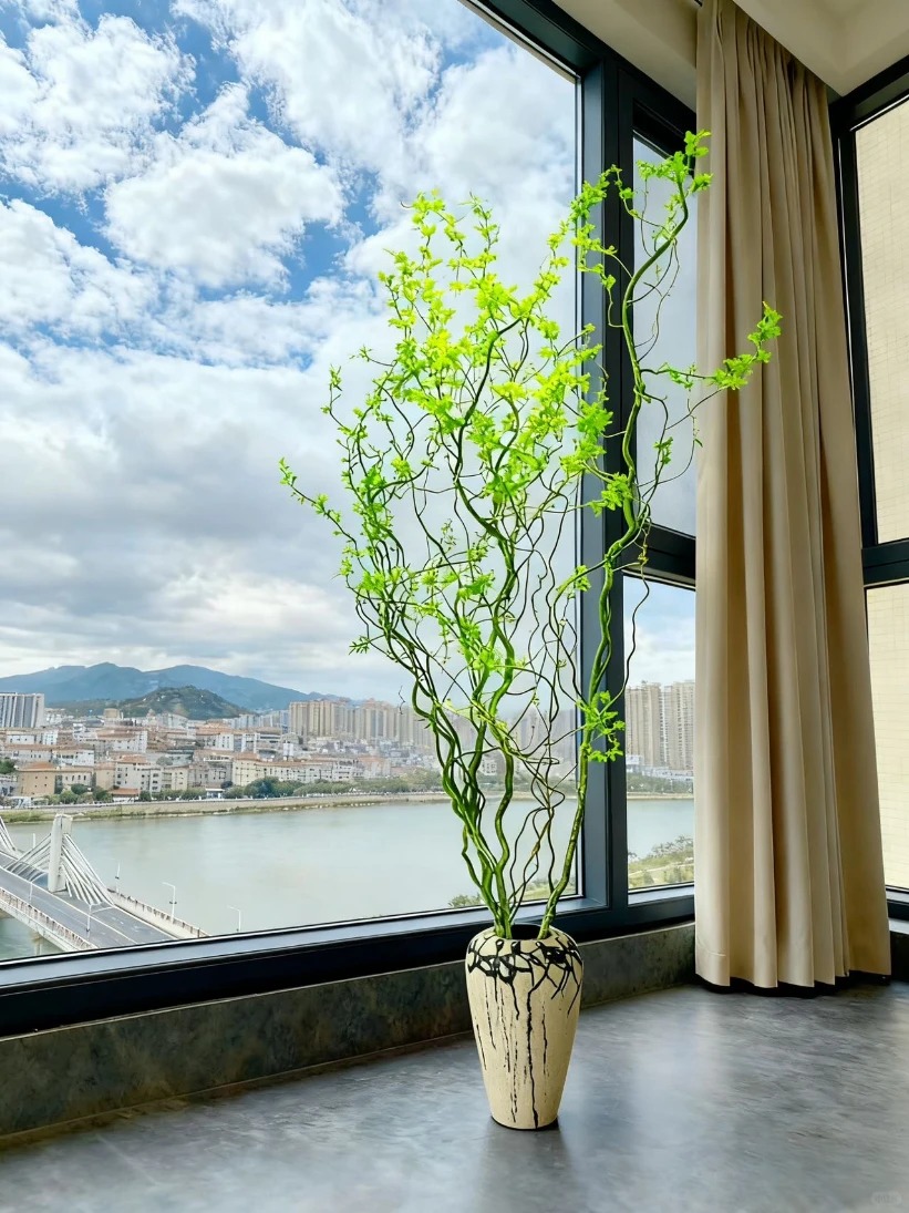 Th&uacute; chơi Liễu Rồng: Khi những "c&agrave;nh củi kh&ocirc;" uốn lượn mang cả m&ugrave;a xu&acirc;n v&agrave; t&agrave;i lộc v&agrave;o nh&agrave;- Ảnh 3.