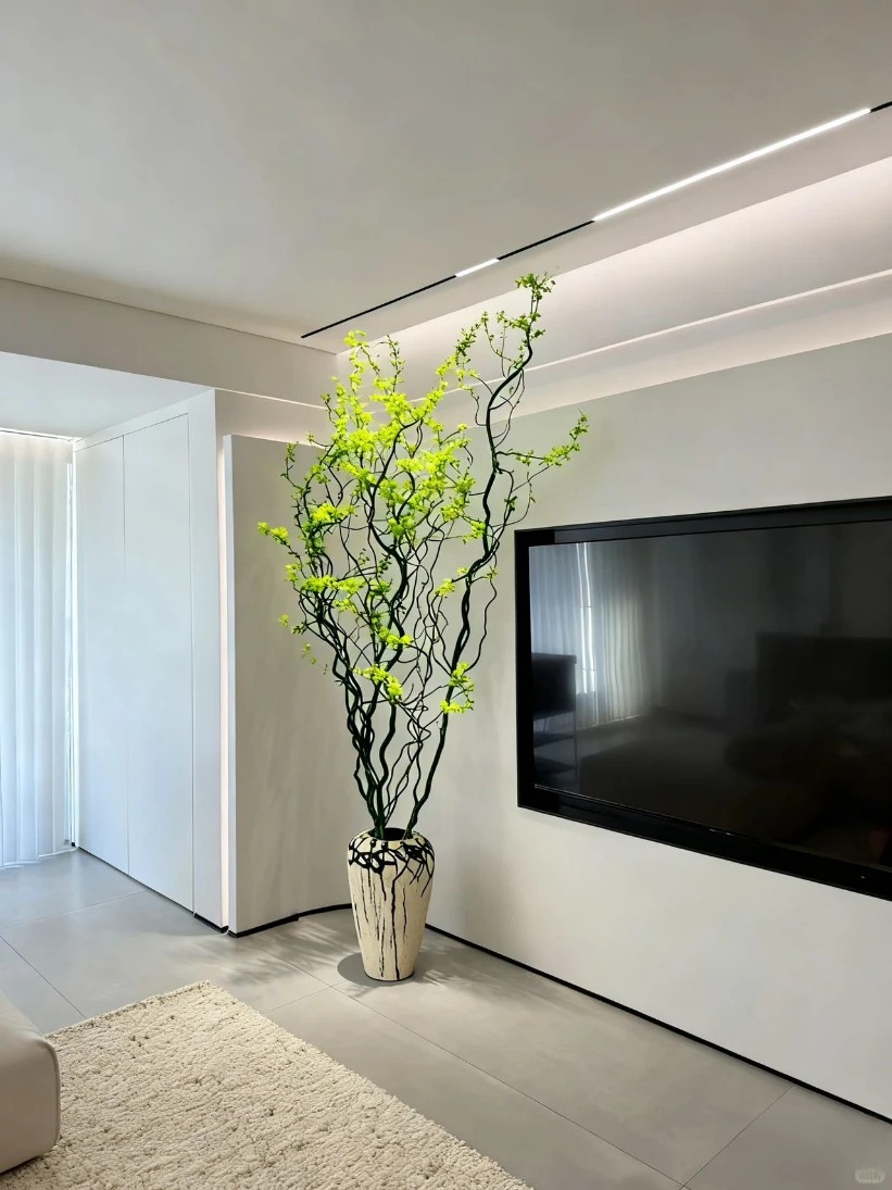 Th&uacute; chơi Liễu Rồng: Khi những "c&agrave;nh củi kh&ocirc;" uốn lượn mang cả m&ugrave;a xu&acirc;n v&agrave; t&agrave;i lộc v&agrave;o nh&agrave;- Ảnh 4.