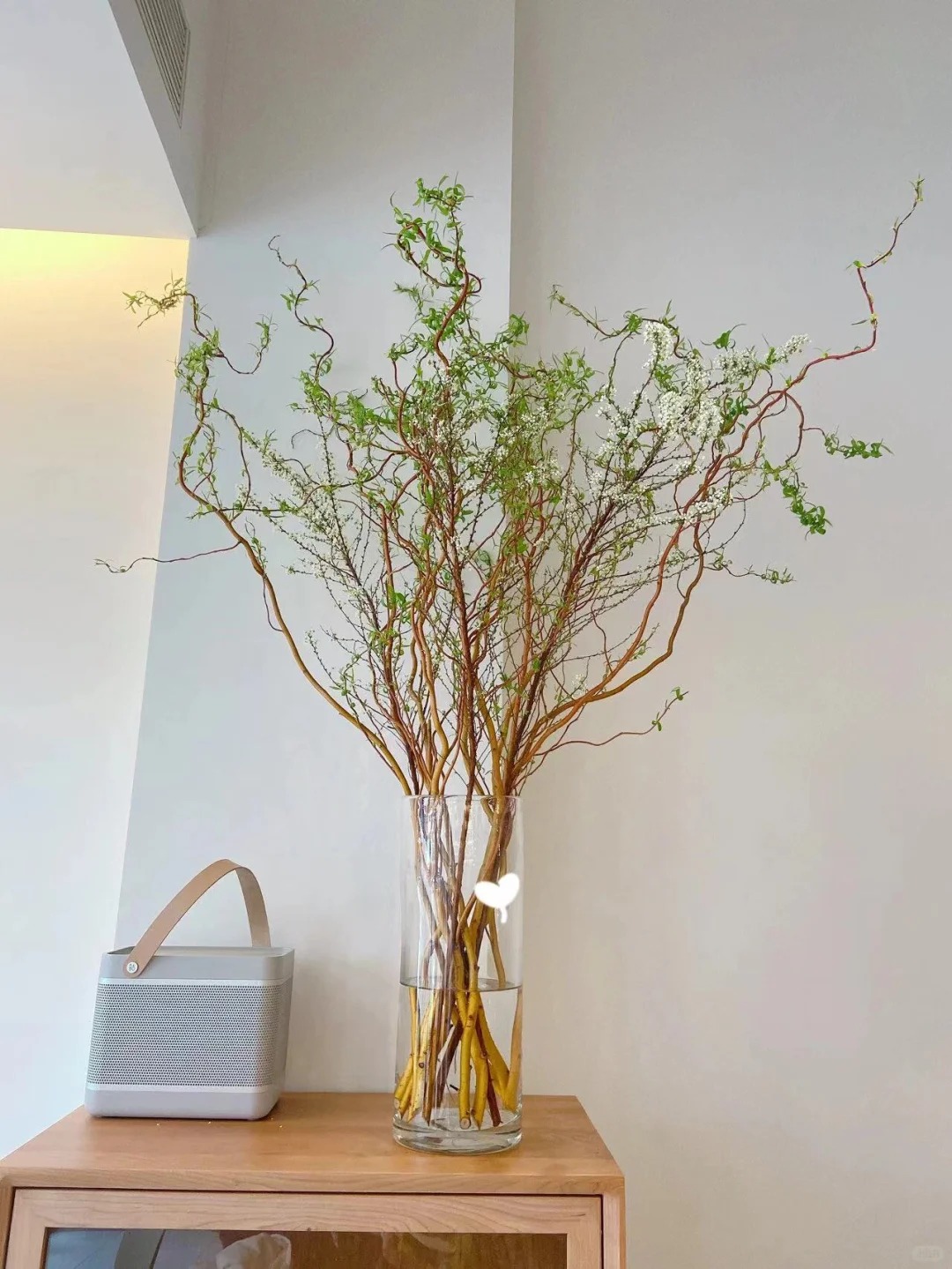 Th&uacute; chơi Liễu Rồng: Khi những "c&agrave;nh củi kh&ocirc;" uốn lượn mang cả m&ugrave;a xu&acirc;n v&agrave; t&agrave;i lộc v&agrave;o nh&agrave;- Ảnh 6.