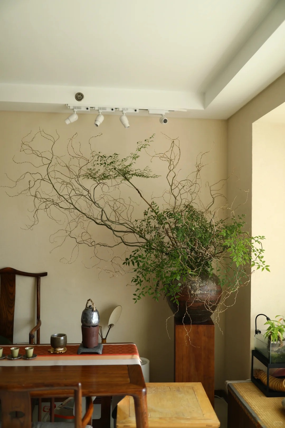 Th&uacute; chơi Liễu Rồng: Khi những "c&agrave;nh củi kh&ocirc;" uốn lượn mang cả m&ugrave;a xu&acirc;n v&agrave; t&agrave;i lộc v&agrave;o nh&agrave;- Ảnh 13.