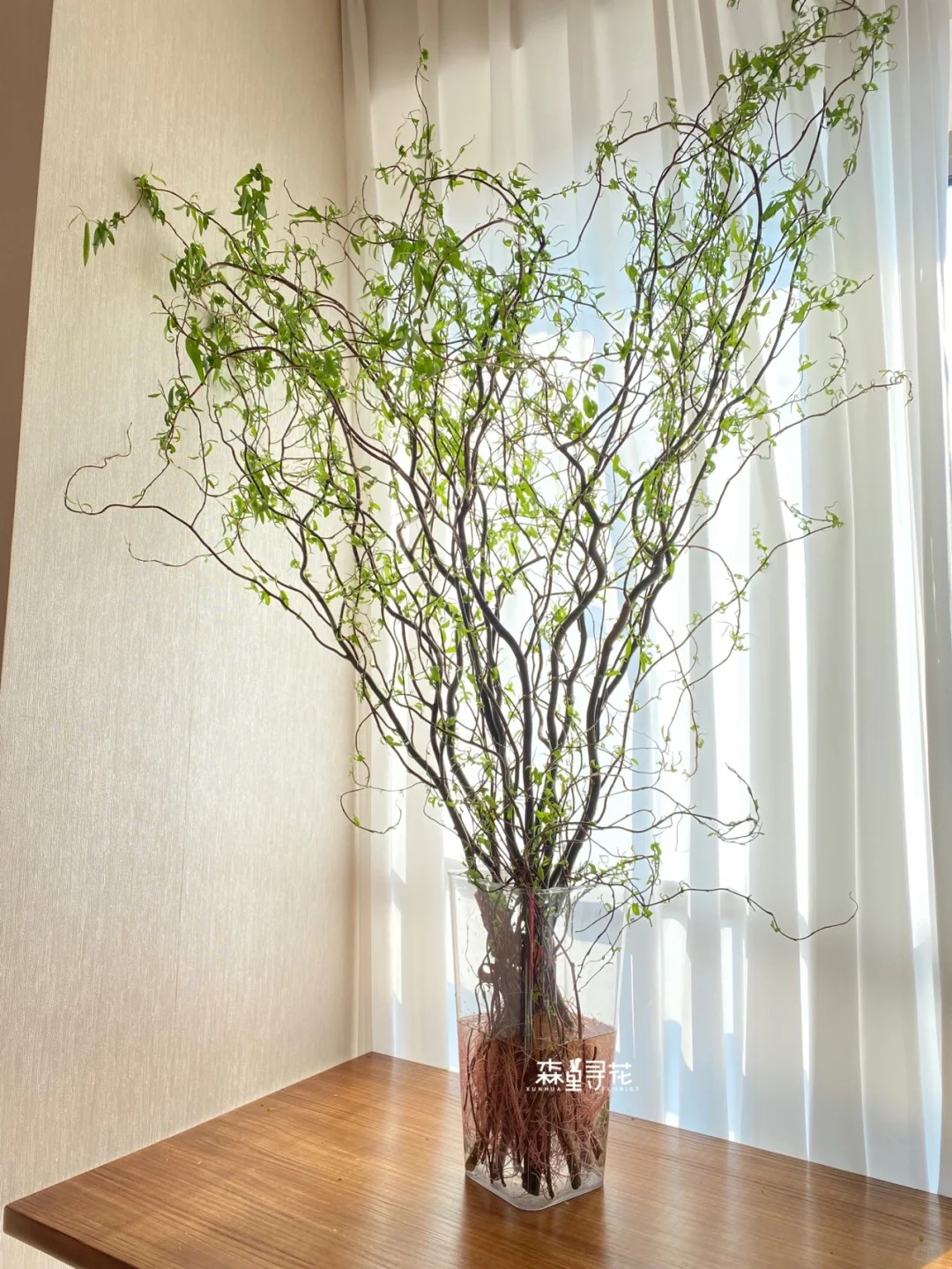 Th&uacute; chơi Liễu Rồng: Khi những "c&agrave;nh củi kh&ocirc;" uốn lượn mang cả m&ugrave;a xu&acirc;n v&agrave; t&agrave;i lộc v&agrave;o nh&agrave;- Ảnh 26.