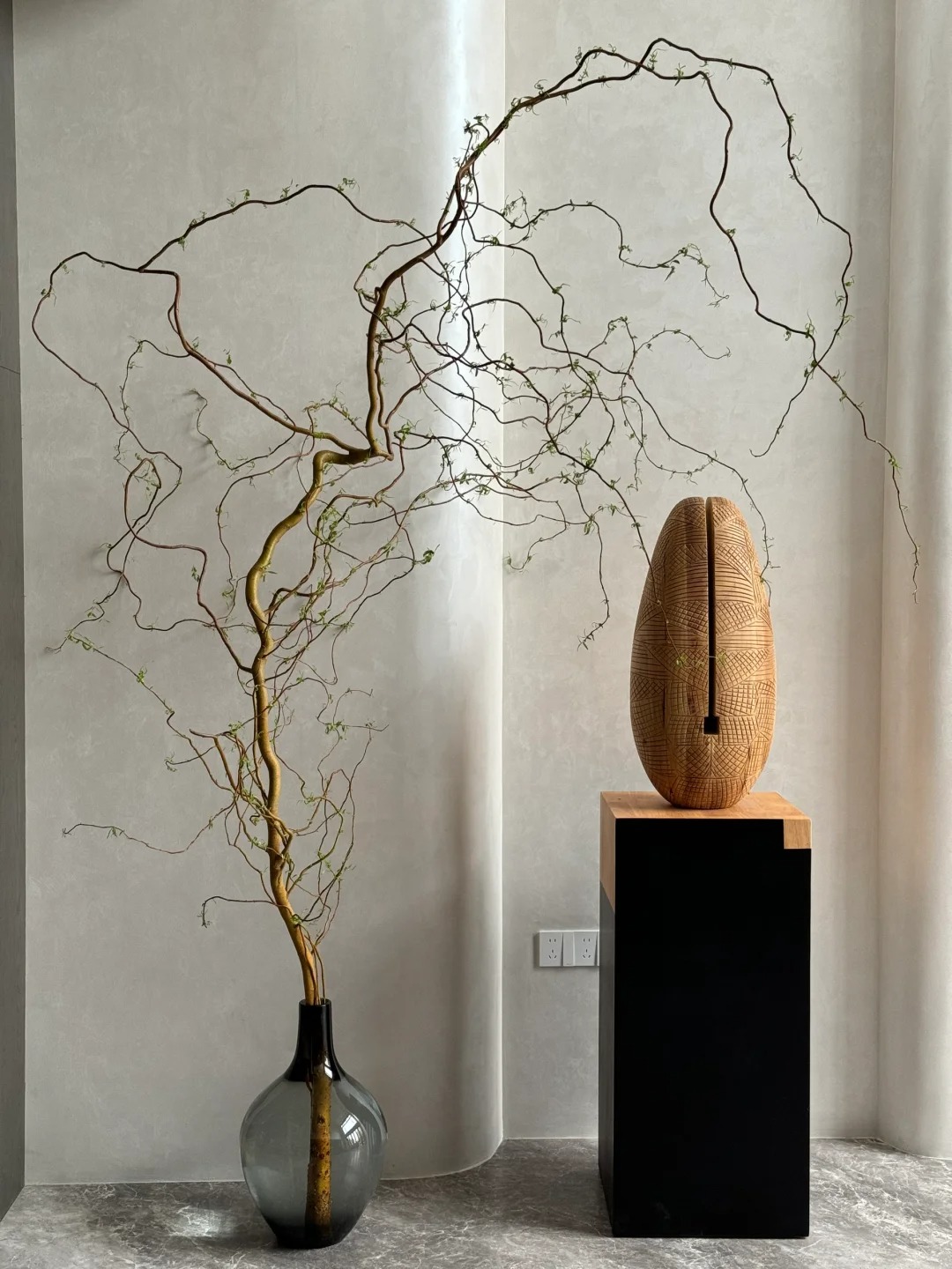 Th&uacute; chơi Liễu Rồng: Khi những "c&agrave;nh củi kh&ocirc;" uốn lượn mang cả m&ugrave;a xu&acirc;n v&agrave; t&agrave;i lộc v&agrave;o nh&agrave;- Ảnh 2.