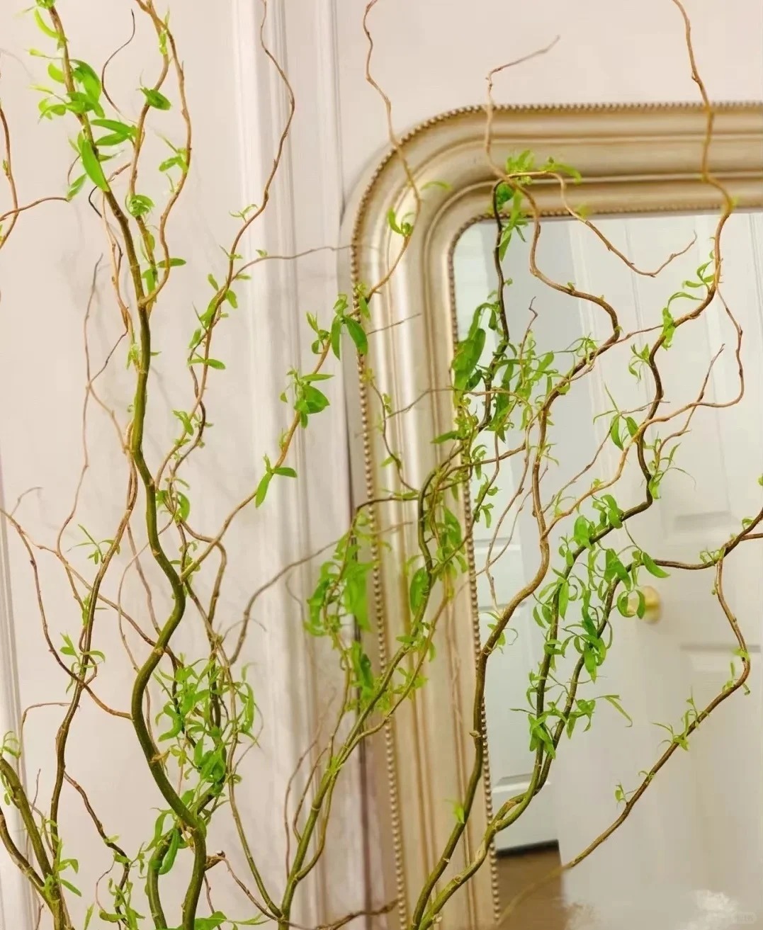 Th&uacute; chơi Liễu Rồng: Khi những "c&agrave;nh củi kh&ocirc;" uốn lượn mang cả m&ugrave;a xu&acirc;n v&agrave; t&agrave;i lộc v&agrave;o nh&agrave;- Ảnh 15.