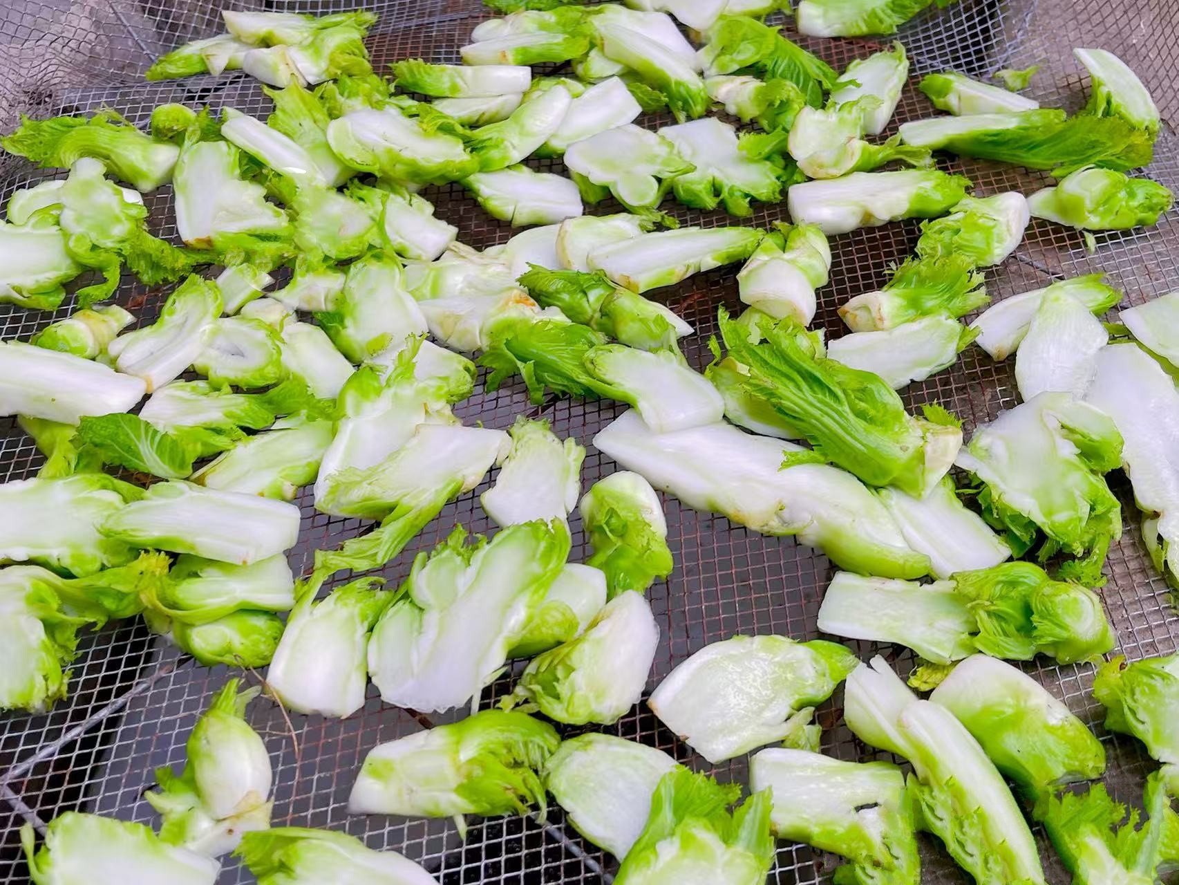 Loại rau Loại rau