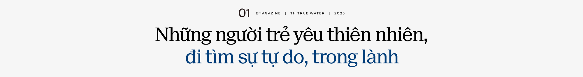 Bạn đang đi tìm điều gì trong cuộc sống?- Ảnh 1. Bạn đang đi tìm điều gì trong cuộc sống?- Ảnh 1.