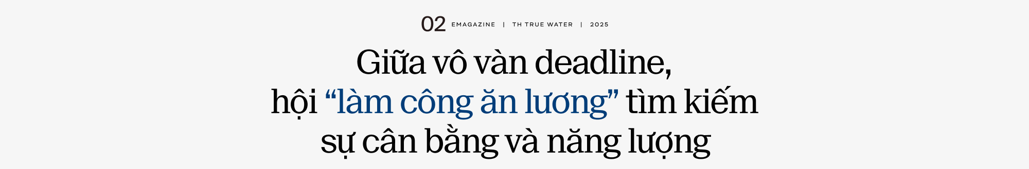 Bạn đang đi tìm điều gì trong cuộc sống?- Ảnh 3. Bạn đang đi tìm điều gì trong cuộc sống?- Ảnh 3.