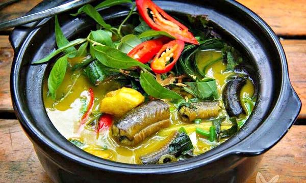 Loại c&aacute; được v&iacute; như "nh&acirc;n s&acirc;m dưới nước", xuất hiện trong nhiều b&agrave;i thuốc Đ&ocirc;ng y- Ảnh 4.