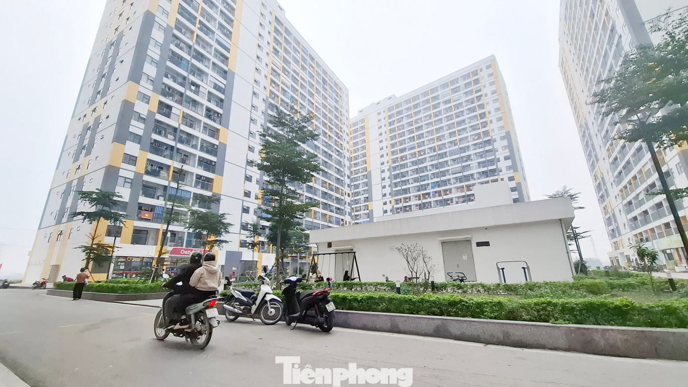 Bắc Ninh, Hải Ph&ograve;ng ph&aacute;t hiện h&agrave;ng loạt sai phạm mua b&aacute;n nh&agrave; ở x&atilde; hội- Ảnh 1.