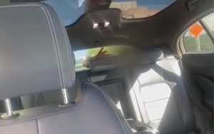 Ph&aacute;t hiện x&aacute;c sinh vật lạ tr&ecirc;n b&atilde;i biển, da &oacute;ng &aacute;nh như ngọc trai g&acirc;y sốc- Ảnh 3.