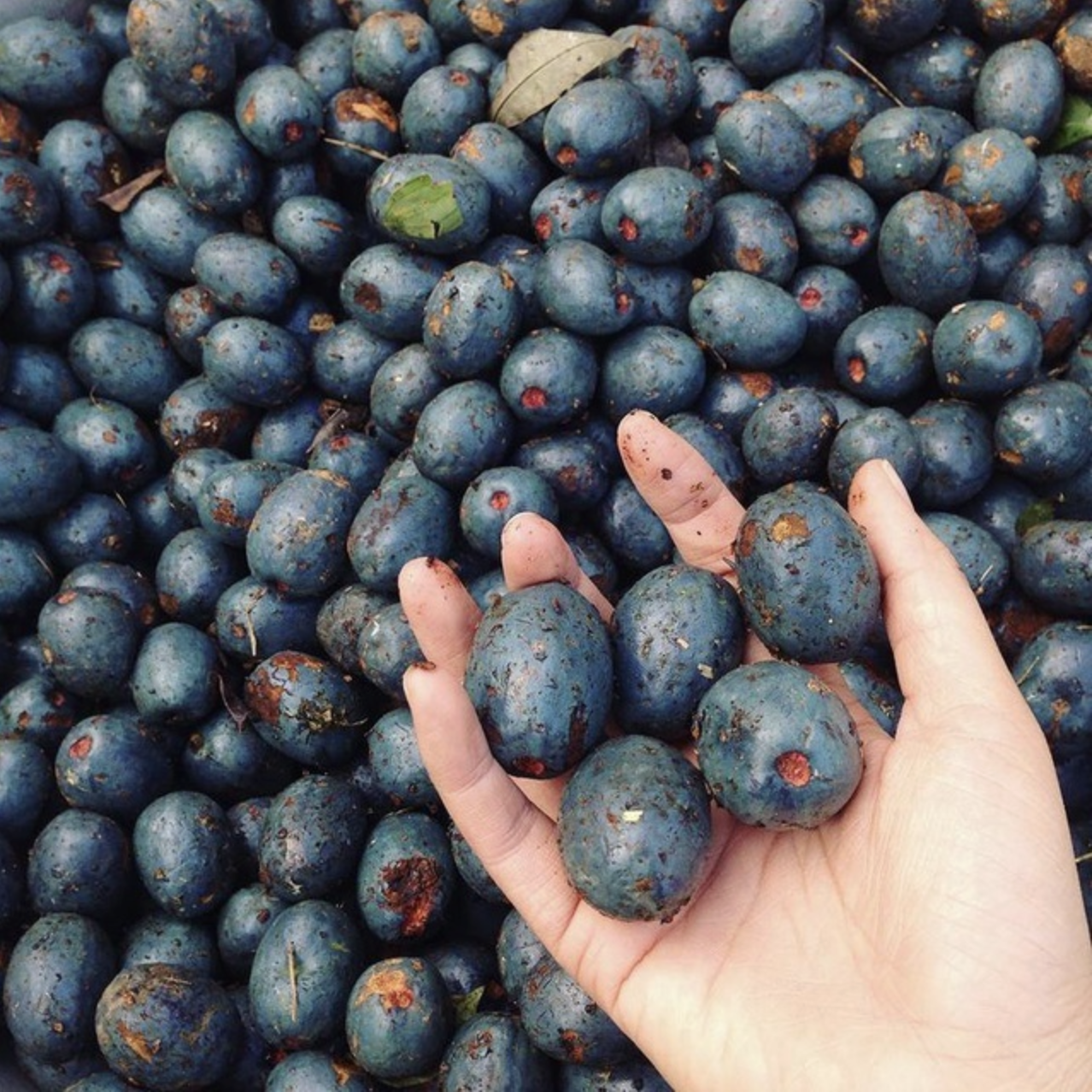 Trend kì cục: Tranh nhau mua nhưng ăn xong ai cũng Trend kì cục: Tranh nhau mua nhưng ăn xong ai cũng