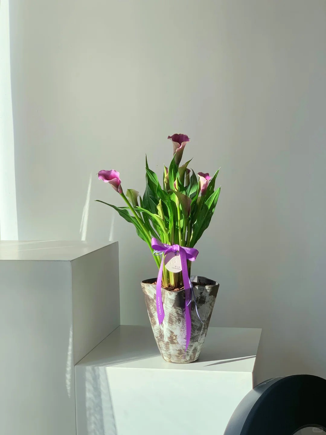 Th&uacute; chơi hoa Tết 2026: Qu&ecirc;n những b&igrave;nh hoa rườm r&agrave; đi, một nắm hoa Rum cắm lọ mới l&agrave; đỉnh cao của sự tinh tế, h&uacute;t lộc cực mạnh- Ảnh 34.