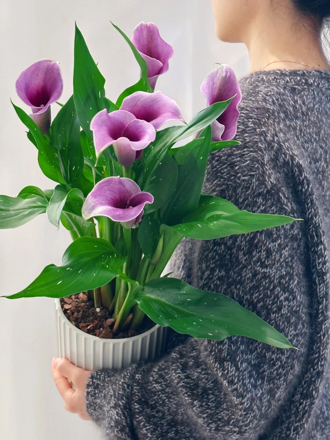 Th&uacute; chơi hoa Tết 2026: Qu&ecirc;n những b&igrave;nh hoa rườm r&agrave; đi, một nắm hoa Rum cắm lọ mới l&agrave; đỉnh cao của sự tinh tế, h&uacute;t lộc cực mạnh- Ảnh 20.