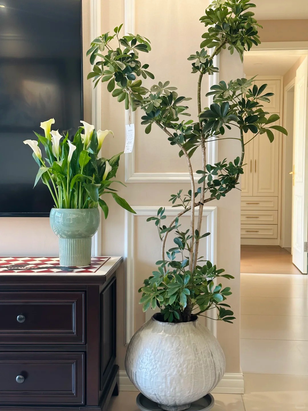 Th&uacute; chơi hoa Tết 2026: Qu&ecirc;n những b&igrave;nh hoa rườm r&agrave; đi, một nắm hoa Rum cắm lọ mới l&agrave; đỉnh cao của sự tinh tế, h&uacute;t lộc cực mạnh- Ảnh 8.