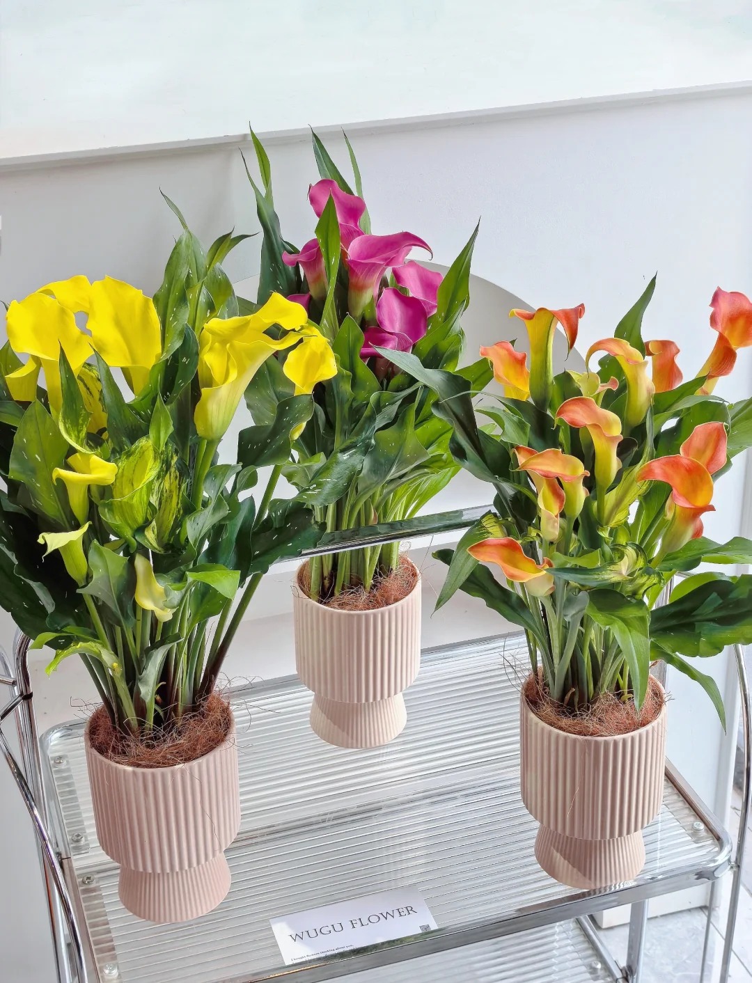 Th&uacute; chơi hoa Tết 2026: Qu&ecirc;n những b&igrave;nh hoa rườm r&agrave; đi, một nắm hoa Rum cắm lọ mới l&agrave; đỉnh cao của sự tinh tế, h&uacute;t lộc cực mạnh- Ảnh 37.