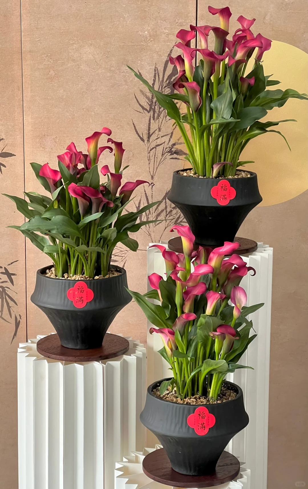 Th&uacute; chơi hoa Tết 2026: Qu&ecirc;n những b&igrave;nh hoa rườm r&agrave; đi, một nắm hoa Rum cắm lọ mới l&agrave; đỉnh cao của sự tinh tế, h&uacute;t lộc cực mạnh- Ảnh 4.