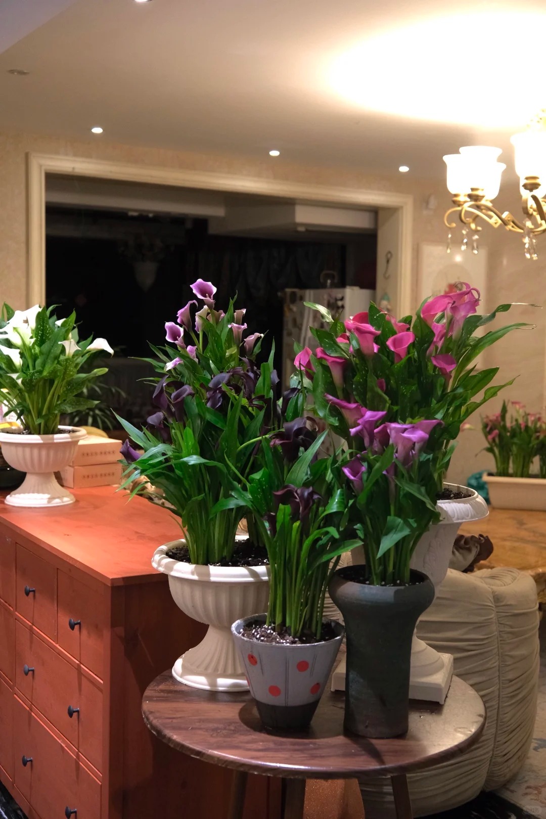 Th&uacute; chơi hoa Tết 2026: Qu&ecirc;n những b&igrave;nh hoa rườm r&agrave; đi, một nắm hoa Rum cắm lọ mới l&agrave; đỉnh cao của sự tinh tế, h&uacute;t lộc cực mạnh- Ảnh 7.