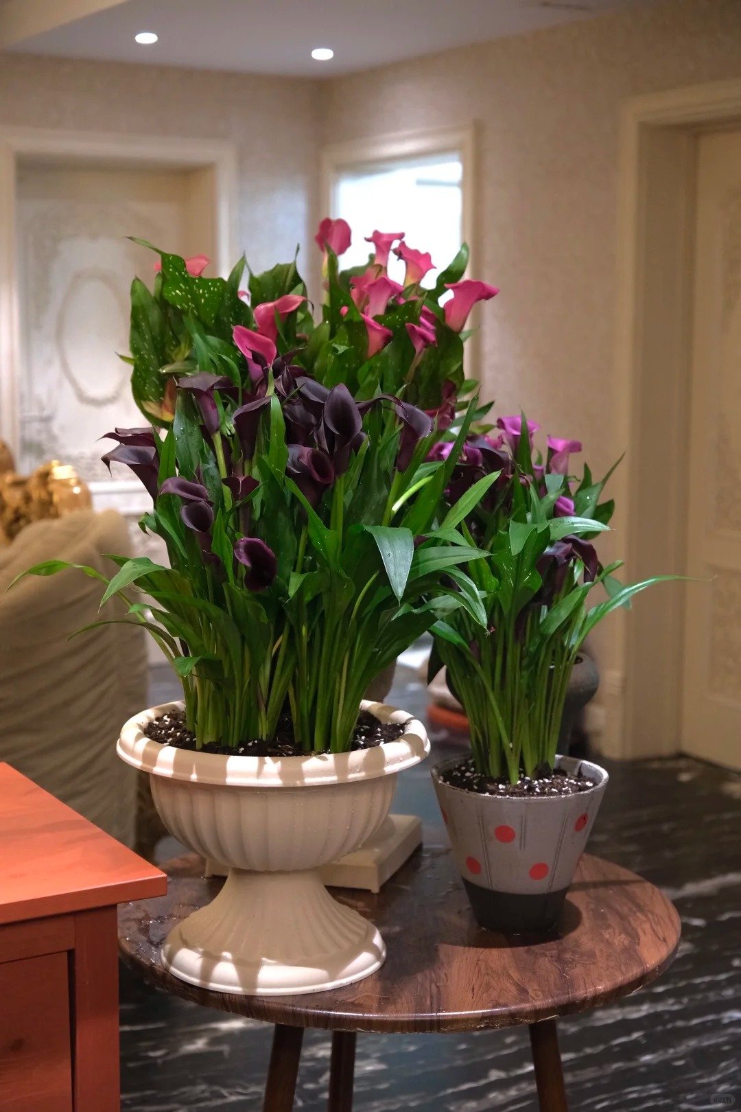 Th&uacute; chơi hoa Tết 2026: Qu&ecirc;n những b&igrave;nh hoa rườm r&agrave; đi, một nắm hoa Rum cắm lọ mới l&agrave; đỉnh cao của sự tinh tế, h&uacute;t lộc cực mạnh- Ảnh 6.