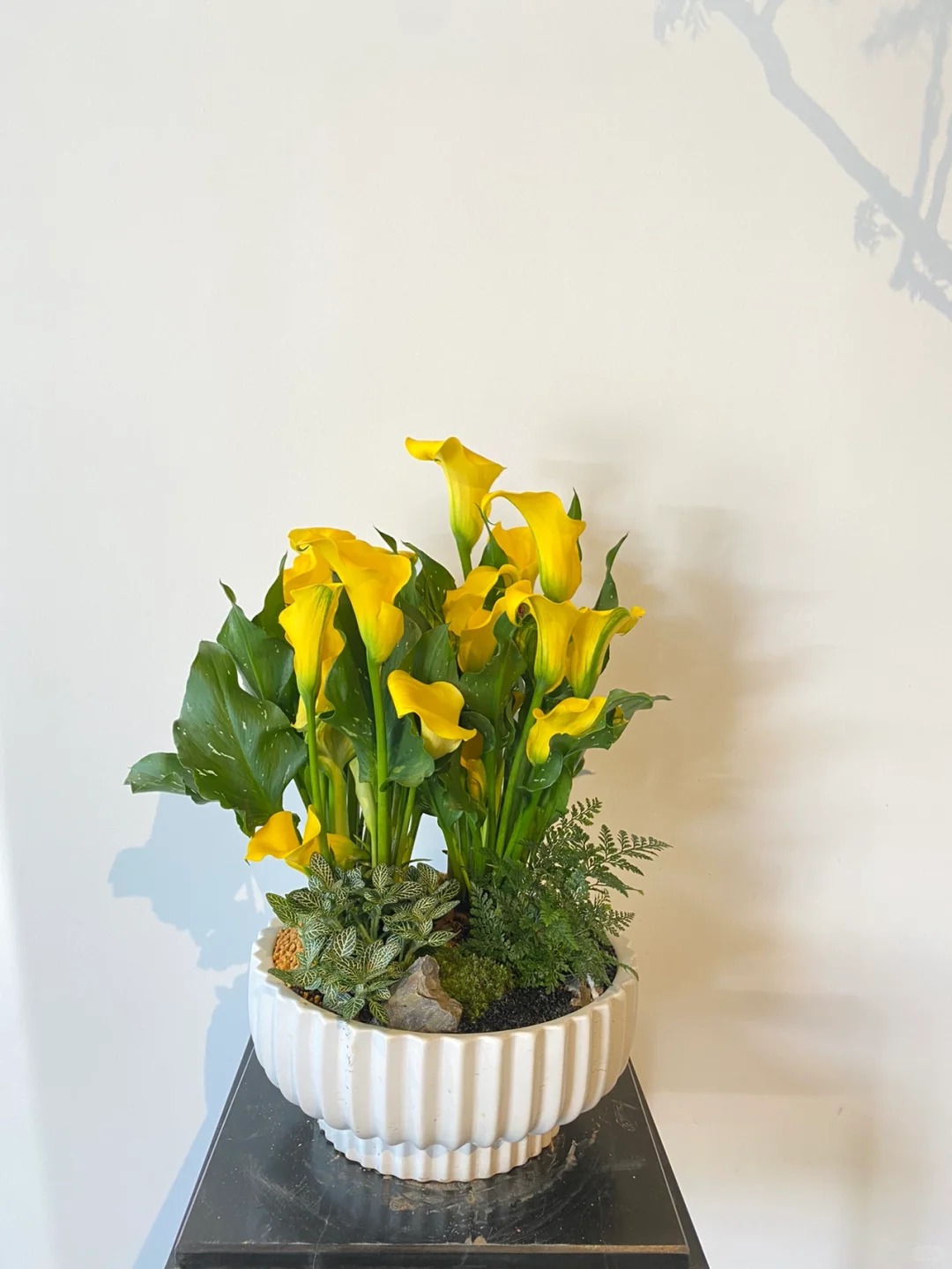 Th&uacute; chơi hoa Tết 2026: Qu&ecirc;n những b&igrave;nh hoa rườm r&agrave; đi, một nắm hoa Rum cắm lọ mới l&agrave; đỉnh cao của sự tinh tế, h&uacute;t lộc cực mạnh- Ảnh 17.