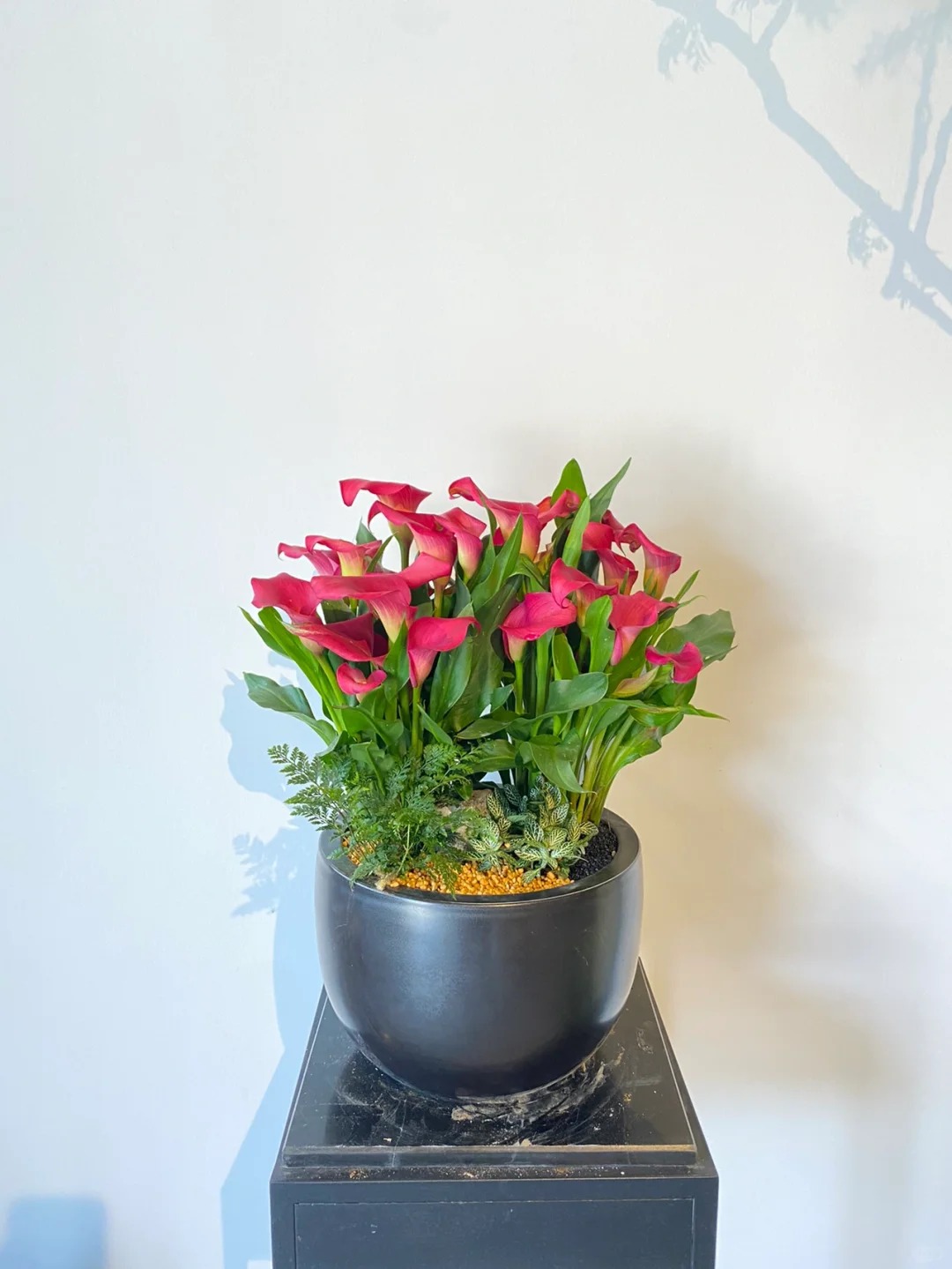 Th&uacute; chơi hoa Tết 2026: Qu&ecirc;n những b&igrave;nh hoa rườm r&agrave; đi, một nắm hoa Rum cắm lọ mới l&agrave; đỉnh cao của sự tinh tế, h&uacute;t lộc cực mạnh- Ảnh 16.