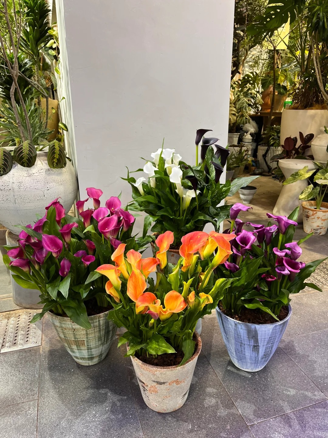 Th&uacute; chơi hoa Tết 2026: Qu&ecirc;n những b&igrave;nh hoa rườm r&agrave; đi, một nắm hoa Rum cắm lọ mới l&agrave; đỉnh cao của sự tinh tế, h&uacute;t lộc cực mạnh- Ảnh 35.